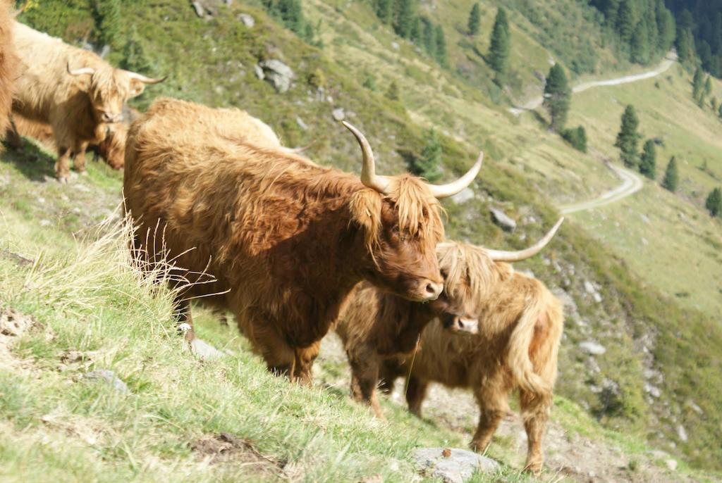 Kraftquelle Herrnmuhle Bramberg am Wildkogel Exterior foto